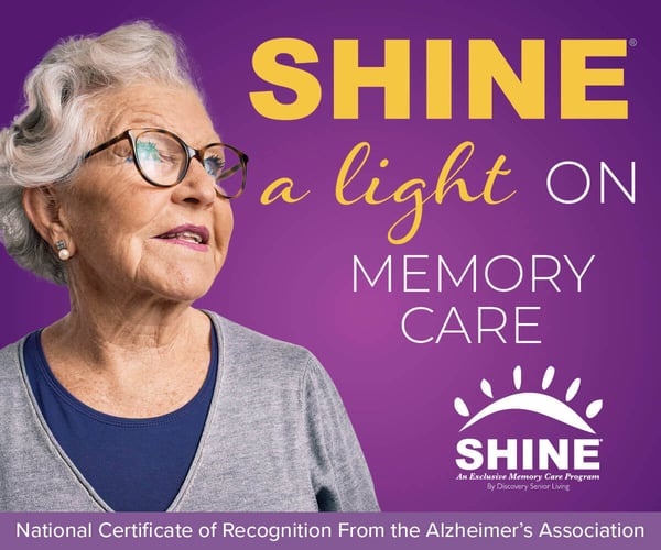RVIND-0027-Web-Graphic_SHINE_April-20233-1-4